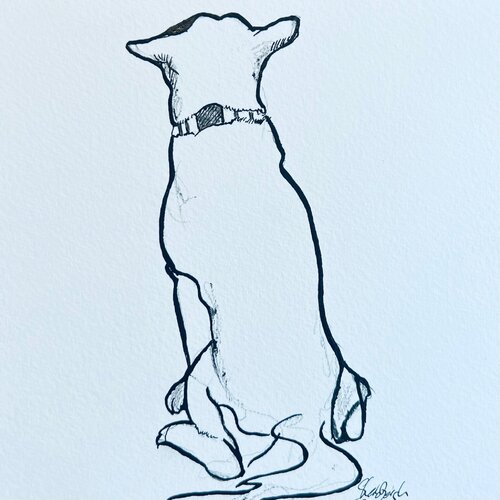 dog looking back drawing